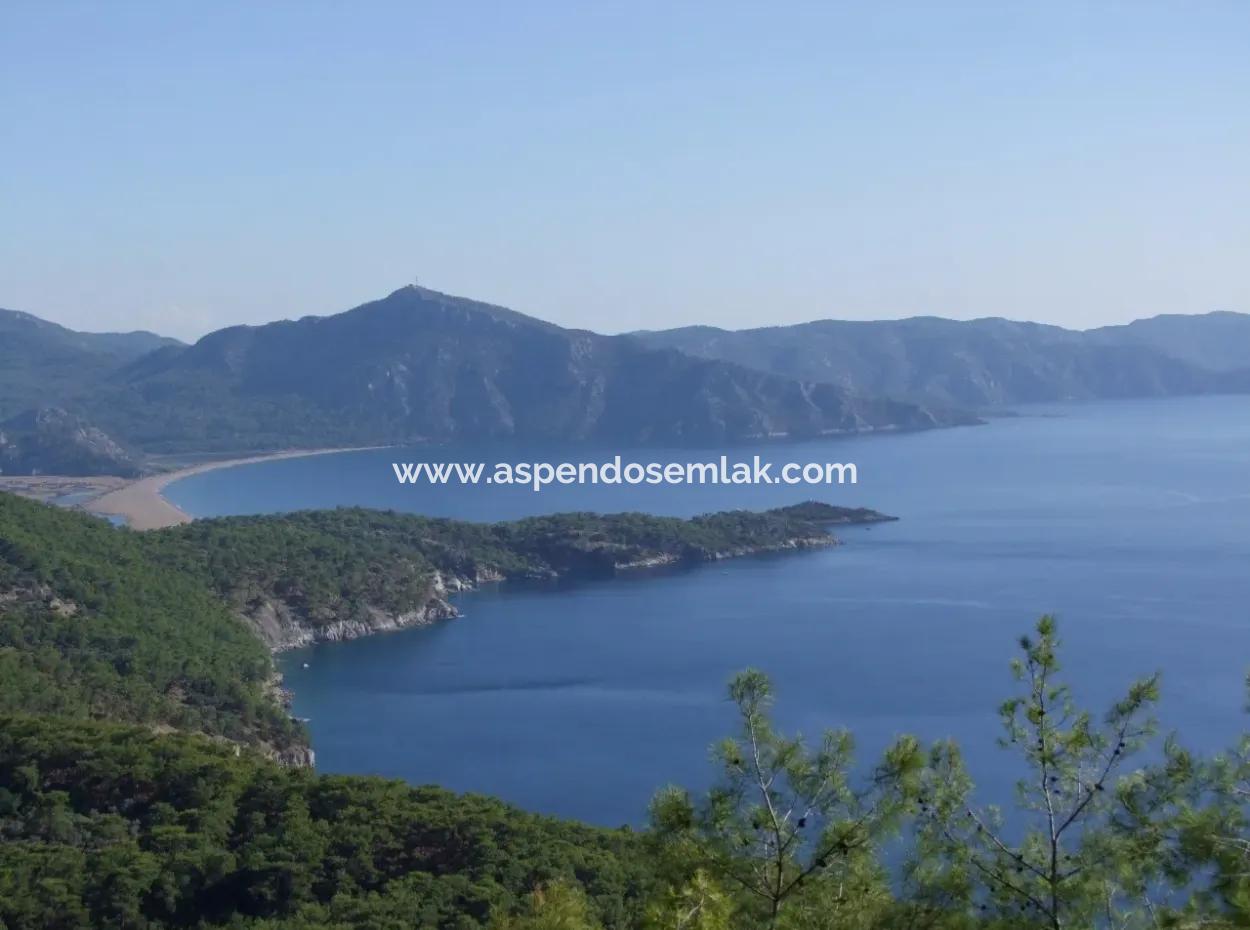 Ekincik Çandır Arasın'da Deniz Manzaralı Kelepir Emlak Satılık Arsa