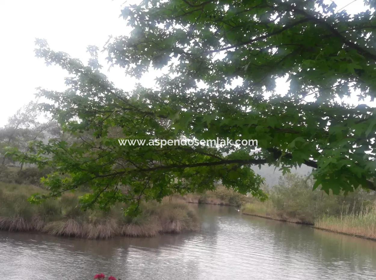 Çamlıda Satılık Arsa Arazi Marmaris Çamlıda Deniz Manzaralı 11720M2 Satılık Arsa