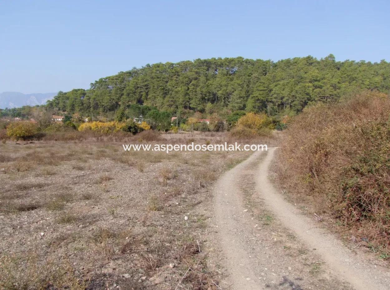 Çamlı'da Deniz Manzaralı 6850M2 İmarlı Satılık Arsa