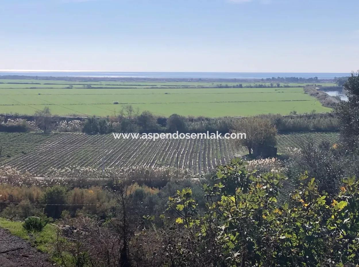 Sarıgermede Satılık Arsa Deniz Manzaralı 30,000M2 Satılık Arsa