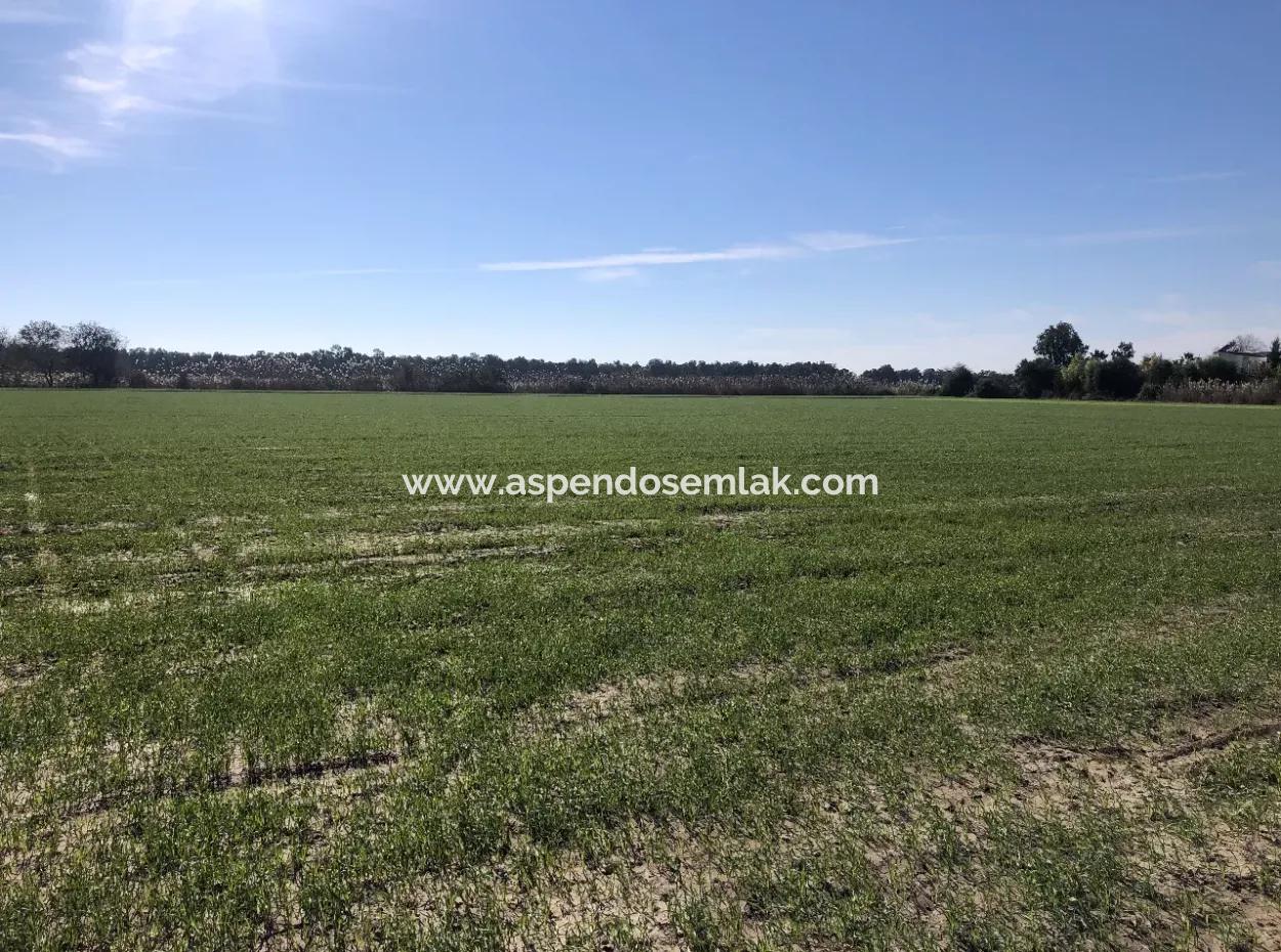 Sarıgermede Satılık Arsa Deniz Manzaralı 30,000M2 Satılık Arsa