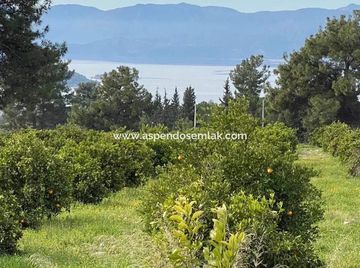 Zeytinalanı'nda Göl Manzaralı 13689M2 Satılık Arsa
