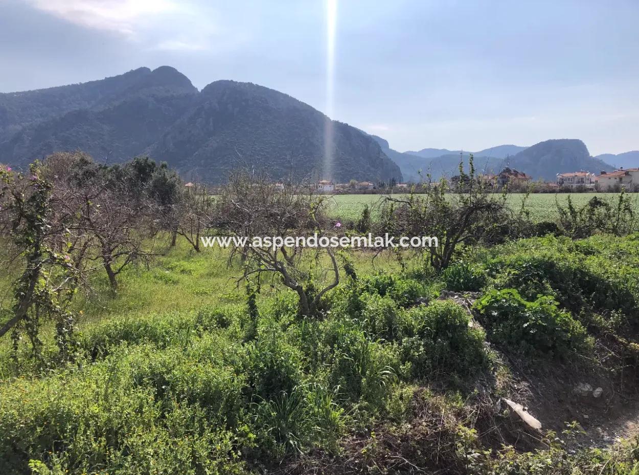 Dalyan'da 5500M2 Satılık Arsa