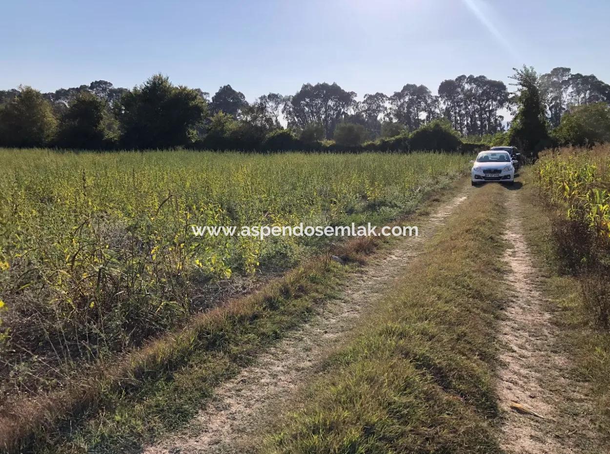 Akçapınarda Satılık Tarla 100 Dönüm Satılık Tarla