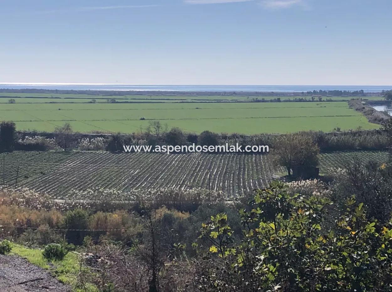 Fevziye Deniz Manzaralı Satılık Arsa