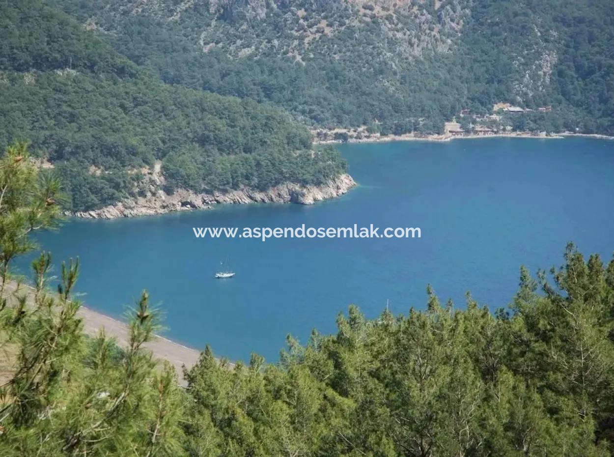 Ekincik Satılık Arsa Full Deniz Manzaralı 10885M2 Denize Bir Parsel Satılık Arsa