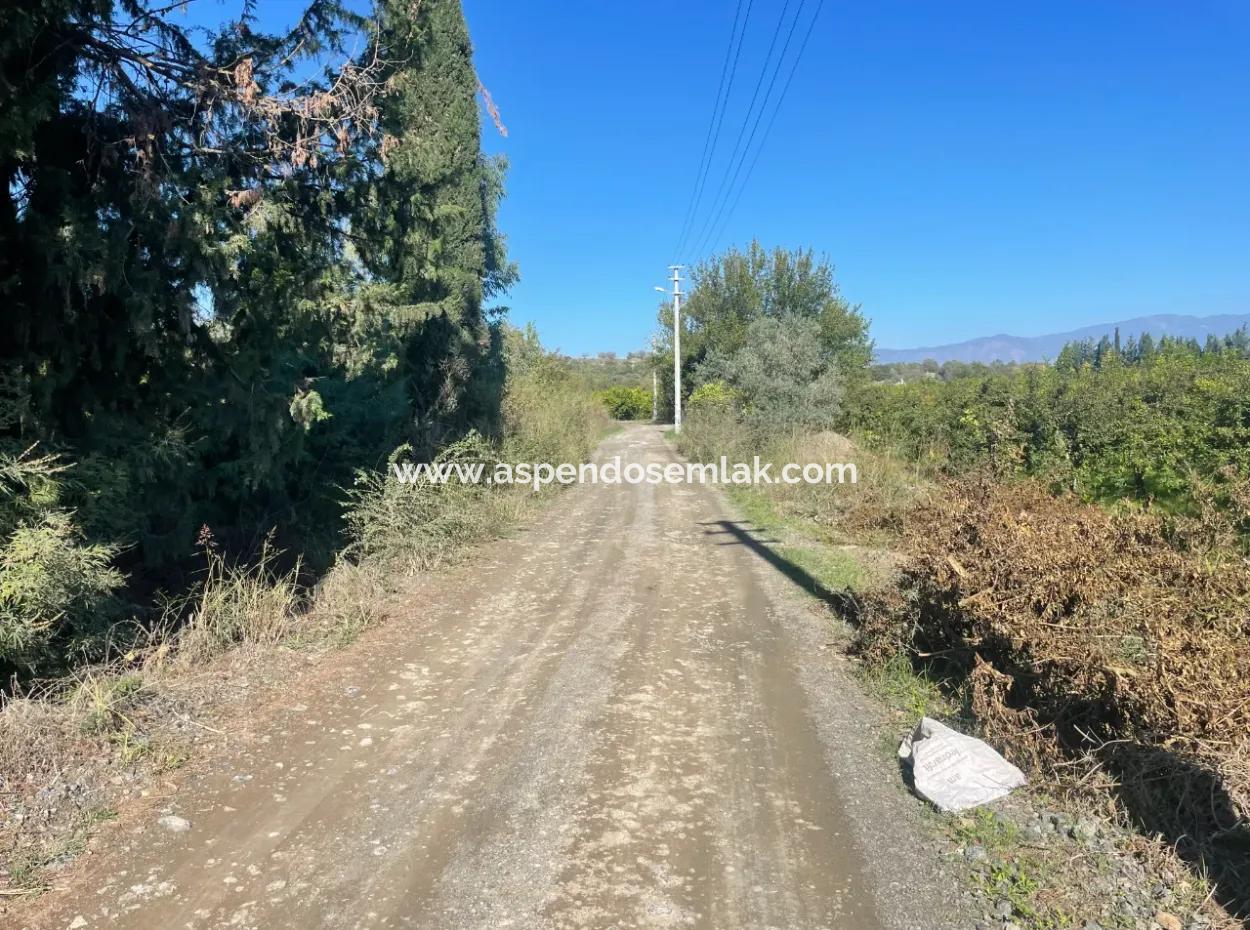 Dalyan'da Satılık 2223M2 Tarla