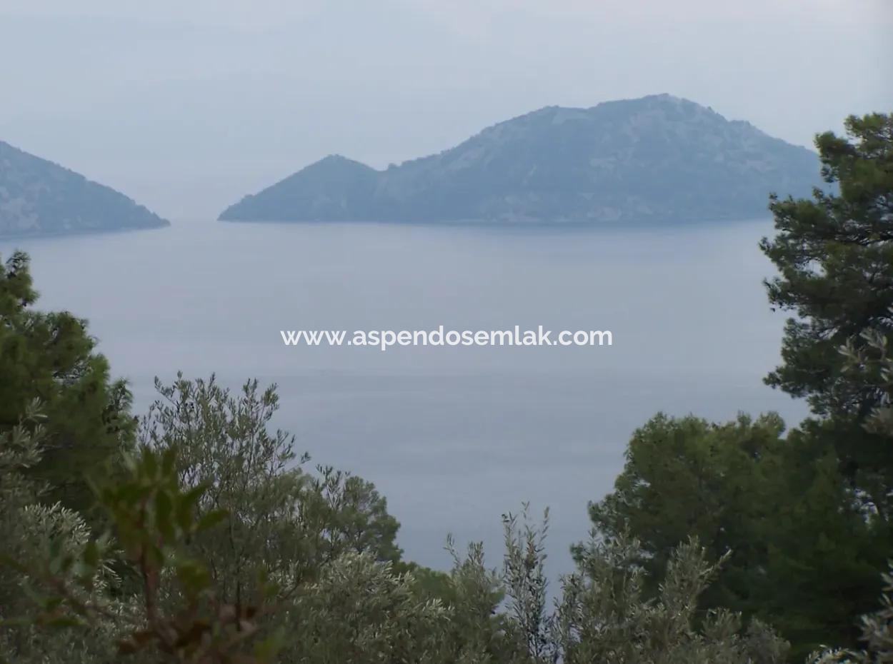 Sarsalada Deniz Manzaralı 4274M2 Arsa İçinde Satılık Taş Ev