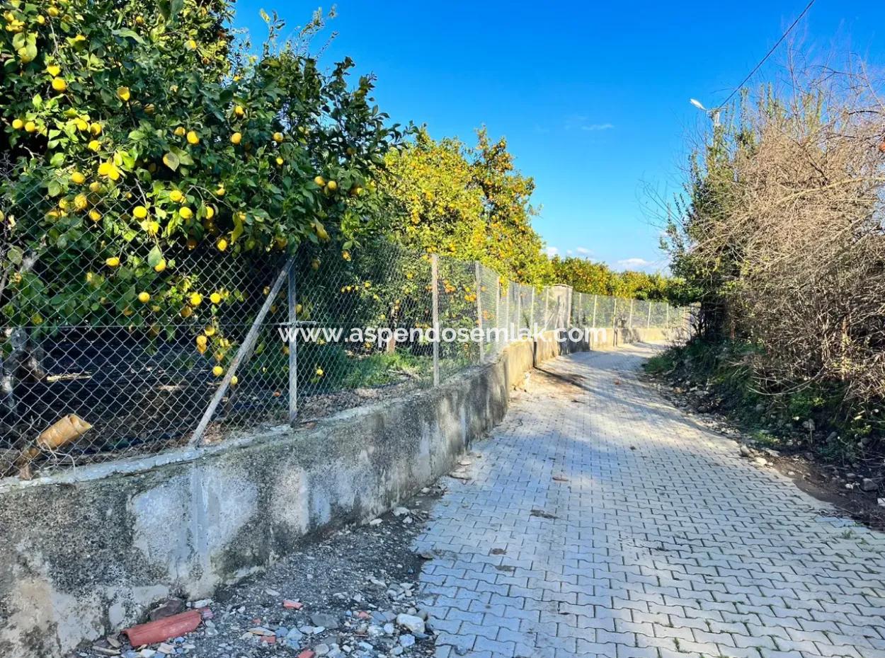 Çandır'da 5000M2 Arsa İçinde Satılık Tek Katlı Ev