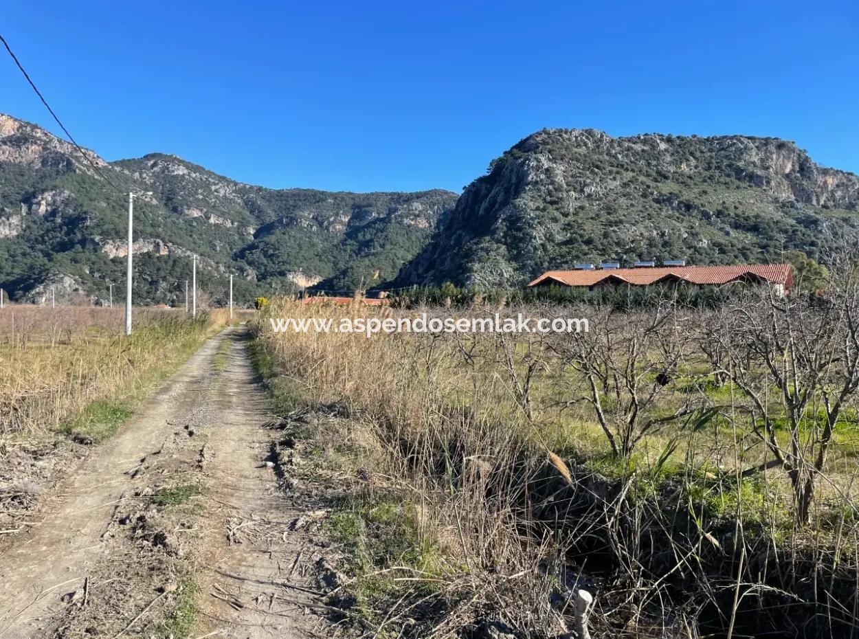 Dalyan İztuzu Yoluna Sıfır 5216M2 Satılık Tarla Arsa