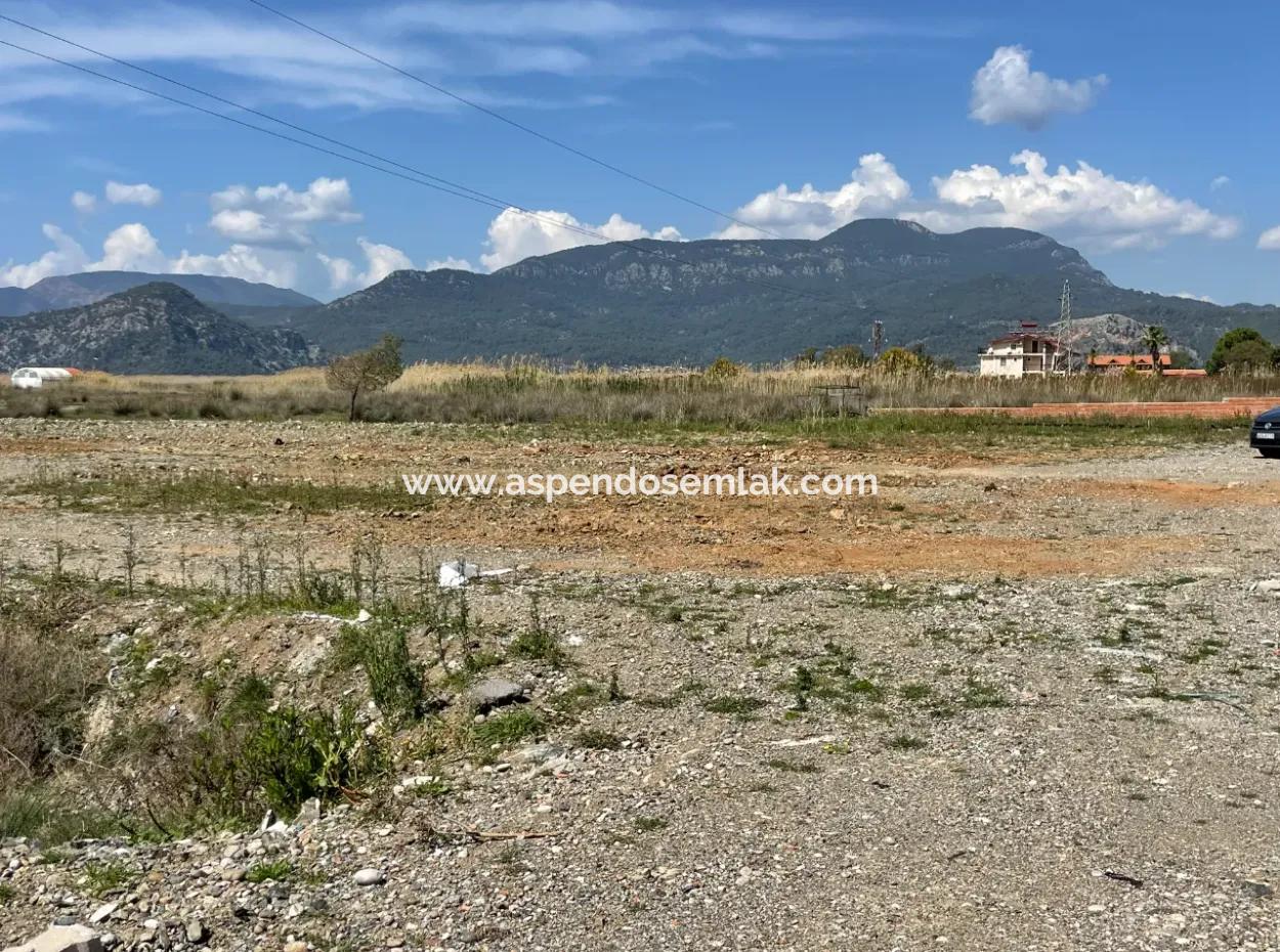 Dalyan İztuzu Plaj Yoluna Sıfır 19,600M2 Satılık Tarla Arazi