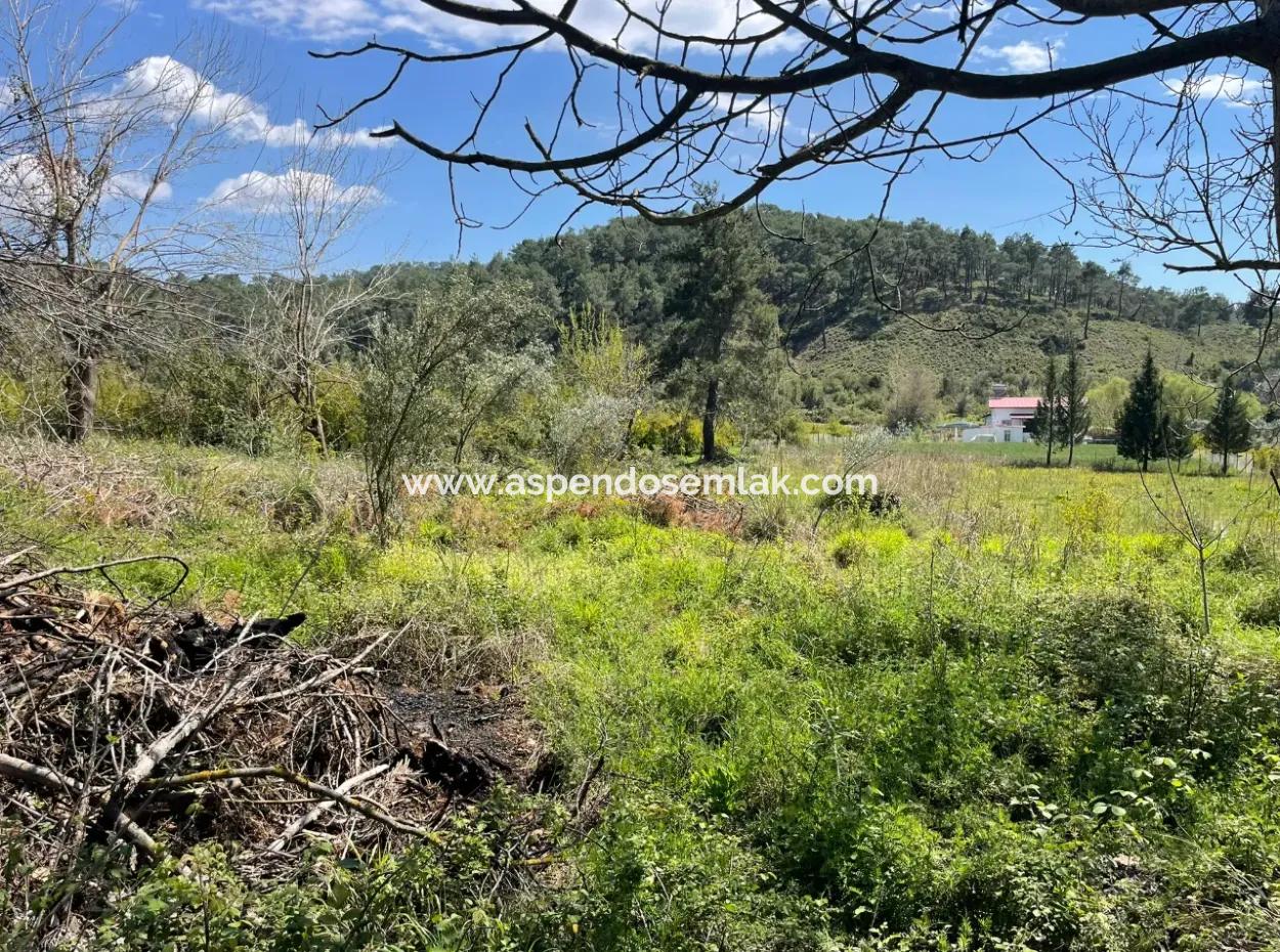 Zeytinalanın'da 5650M2 Tarla İçinde Satılık Köy Evi