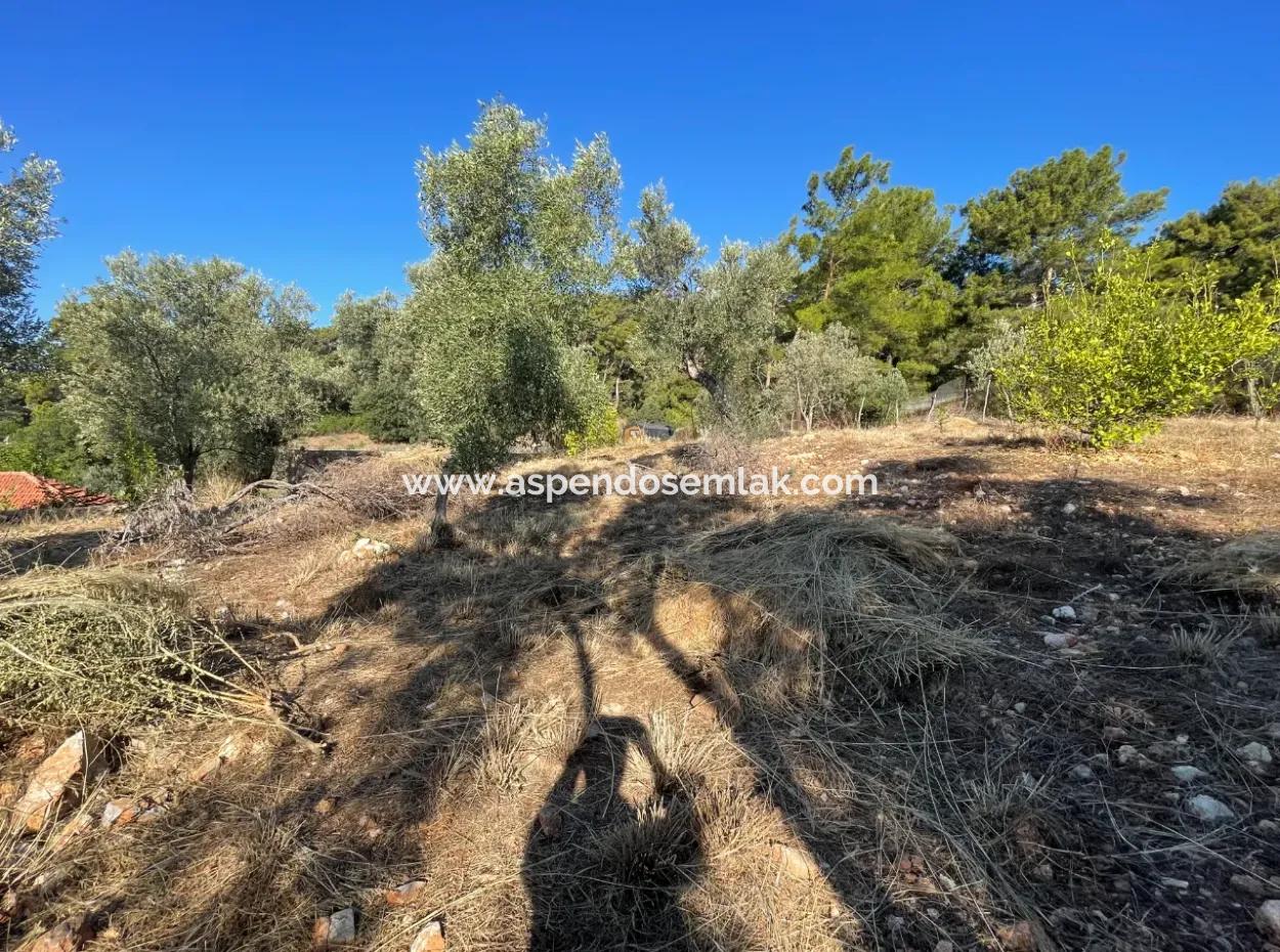 Çandır Full Deniz Ve Göl Manzaralı 500M2 Satılık 2B Tarla