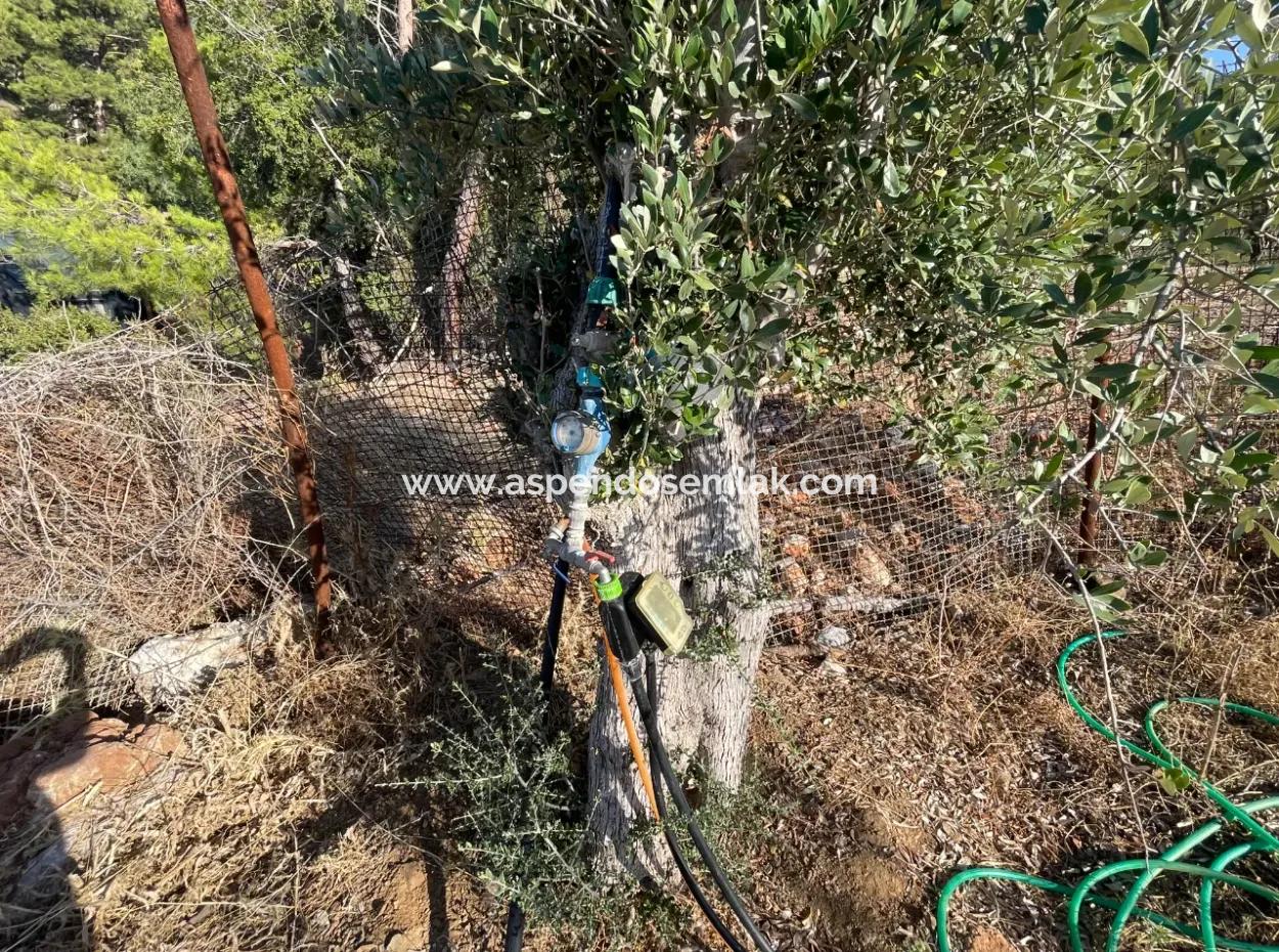 Çandır Full Deniz Ve Göl Manzaralı 500M2 Satılık 2B Tarla