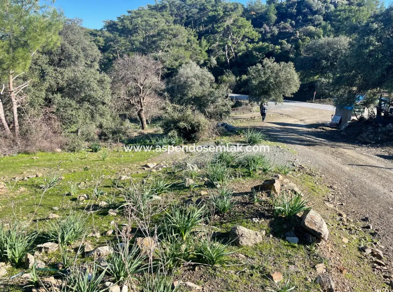 Çandır'da Deniz Manzaralı Satılık 2B Arazisi