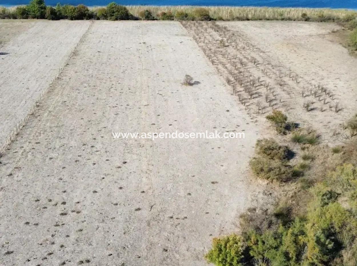 Çandır'da Göle Sıfır 3210M2 Satılık 2B Arazisi