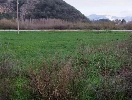 Dalyan Gülpınar Satılık Arsa Dalyan 1,002M2 Satılık Köşenası Satılık Arsa