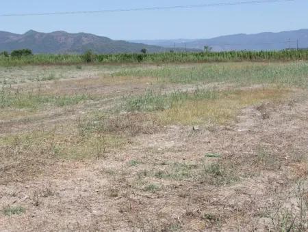 Dalyan'da Satılık 23600M2 Yatırıma Uygun Arazi