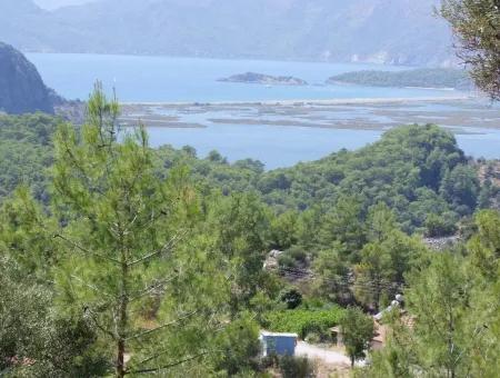 Gökbel Satılık Arsa  Ortaca Gökbel 998M2 Deniz Manzaralı Satılık Arsa