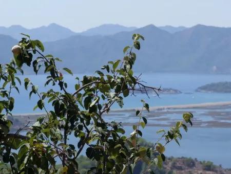 Gökbel Satılık Arsa  Ortaca Gökbel 998M2 Deniz Manzaralı Satılık Arsa