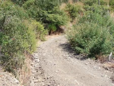 Gökbel Satılık Arsa  Ortaca Gökbel 998M2 Deniz Manzaralı Satılık Arsa