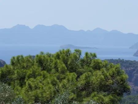 Gökbel Satılık Arsa  Ortaca Gökbel 998M2 Deniz Manzaralı Satılık Arsa