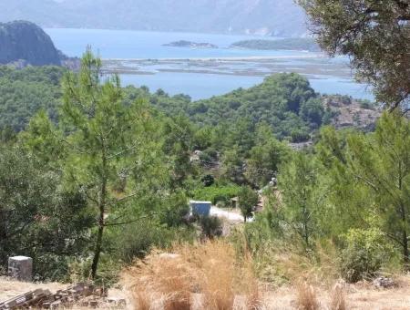 Gökbel Satılık Arsa  Ortaca Gökbel 998M2 Deniz Manzaralı Satılık Arsa