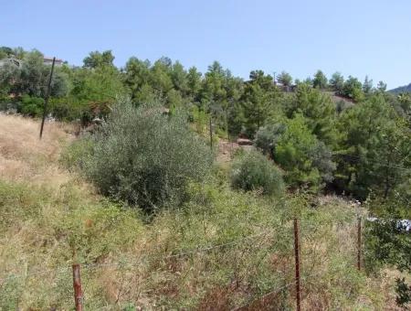 Gökbel Satılık Arsa  Ortaca Gökbel 998M2 Deniz Manzaralı Satılık Arsa