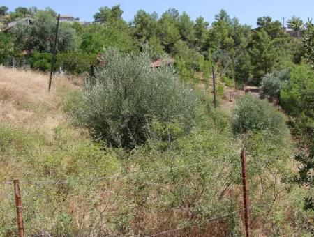 Gökbel Satılık Arsa  Ortaca Gökbel 998M2 Deniz Manzaralı Satılık Arsa