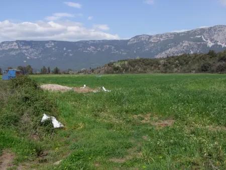 Akyaka Gökçede Satılık Arazi Denize Yakın Çiftlik İçin 21625M2 Satılık Tarla Yatırımlık Satılık Ars