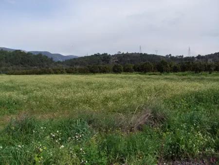 Akyaka Gökçede Satılık Arazi Denize Yakın Çiftlik İçin 21625M2 Satılık Tarla Yatırımlık Satılık Ars