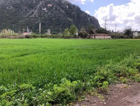 Okçularda Satılık Arsa Marmarlı 1500M2 Satılık Arsa