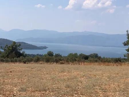 Köyceğiz Zeytinalanı'nda Göl Manzaralı 11.227M2 Satılık Arsa