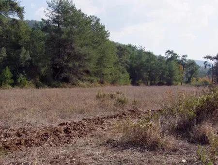 Çamlı'da 25200M2 Satılık Arazi