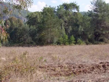 Çamlı'da 25200M2 Satılık Arazi