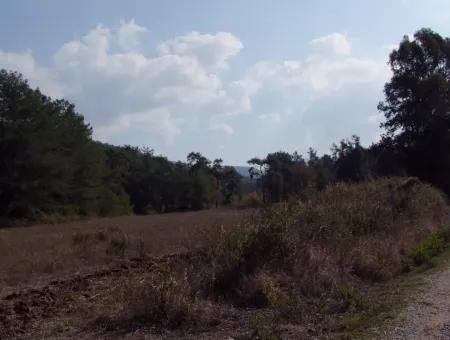 Çamlı'da 25200M2 Satılık Arazi