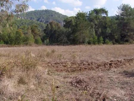 Çamlı'da 25200M2 Satılık Arazi