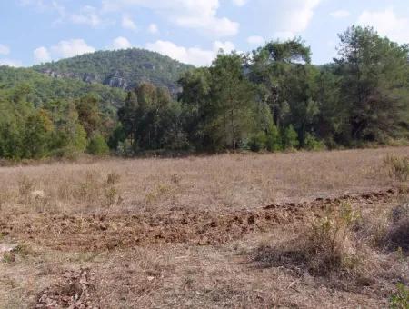 Çamlı'da 25200M2 Satılık Arazi