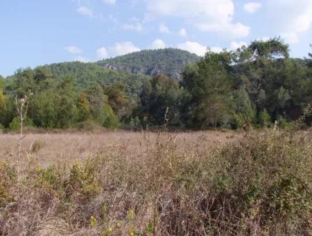 Çamlı'da 25200M2 Satılık Arazi