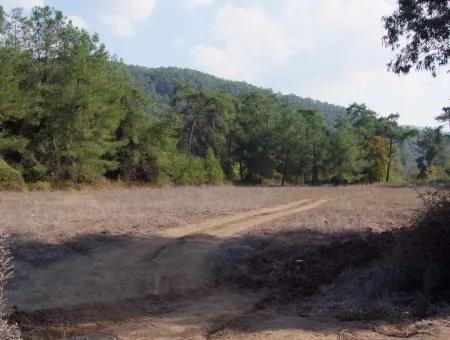 Çamlı'da 25200M2 Satılık Arazi