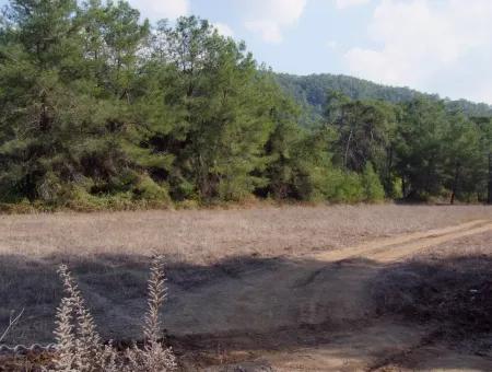 Çamlı'da 25200M2 Satılık Arazi