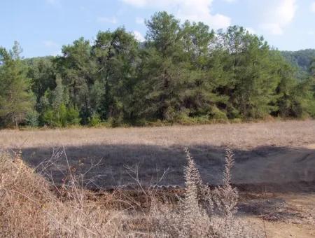 Çamlı'da 25200M2 Satılık Arazi