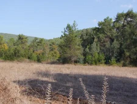 Çamlı'da 25200M2 Satılık Arazi