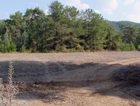 Çamlı'da 25200M2 Satılık Arazi