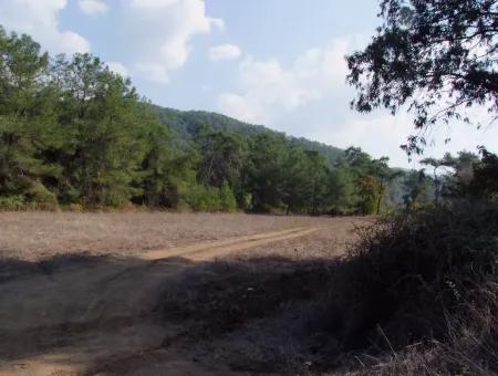Çamlı'da 25200M2 Satılık Arazi