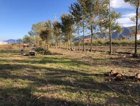 Dalyan'da 2540M2 Satılık Arsa