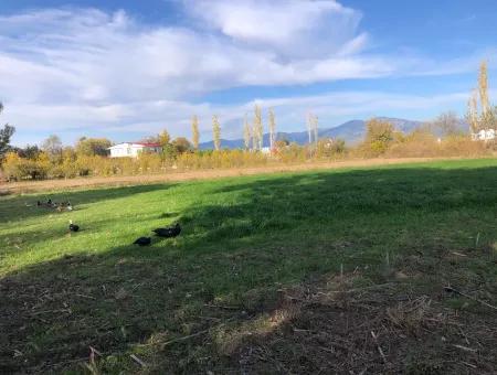 Dalyan'da 2540M2 Satılık Arsa