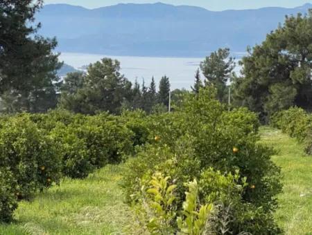 Zeytinalanı'nda Göl Manzaralı 13689M2 Satılık Arsa