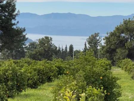 Zeytinalanı'nda Göl Manzaralı 13689M2 Satılık Arsa