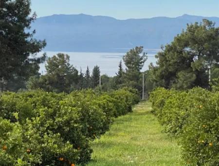 Zeytinalanı'nda Göl Manzaralı 13689M2 Satılık Arsa